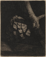 KG 18047
          <br/>
          Denneappel
          <br/>
          <em>Nachenius, Jan Coenraad (1890-1987)</em>